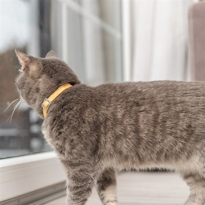 Trixie Kattenhalsband Geblokt Motief Assorti