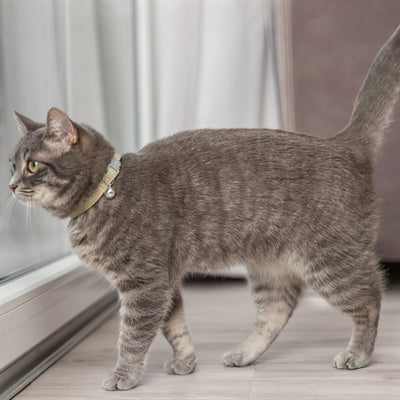 Trixie Kattenhalsband Katoenlook Assorti