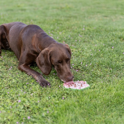 Trixie Lick'n'snack Mat Met Zuignappen Siliconen Salie